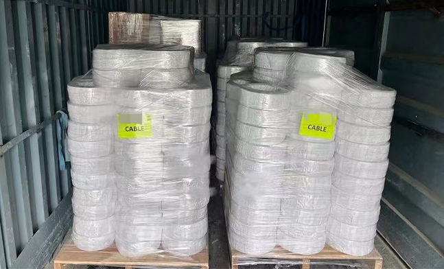 Custom Wiring Harness Assembly Successful Cooperation with Overseas Equipment Manufacturer
