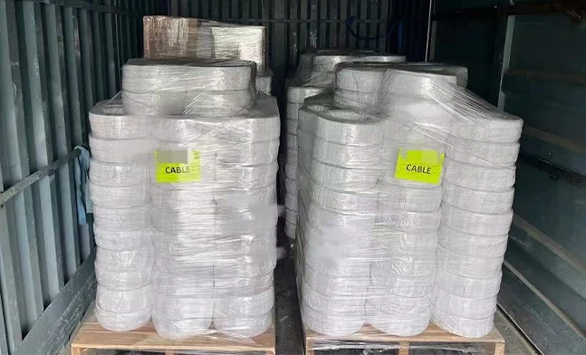 Custom Wiring Harness Assembly Successful Cooperation with Overseas Equipment Manufacturer